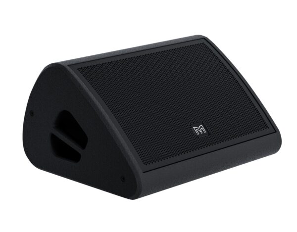 LE 1500 wedge monitor