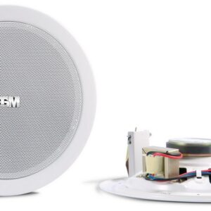Ceiling speaker - CS-205A
